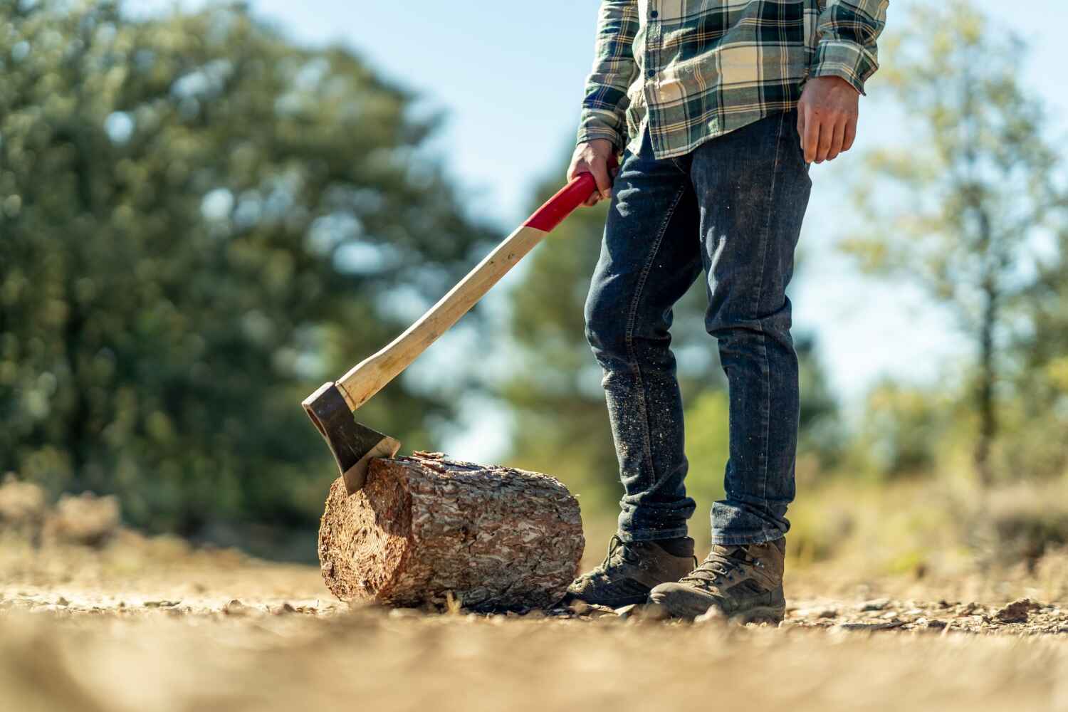 Best Tree Stump Removal  in USA